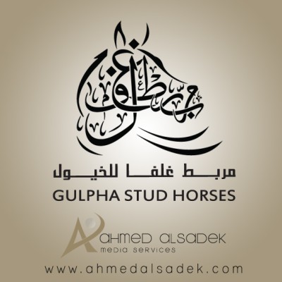 مصمم-شعارات-محترف-بابوظبي-دبي-قطر-السعودية-الامارات4